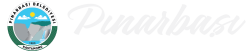 pinarbasi-logo-04