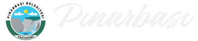 pinarbasi-logo-04
